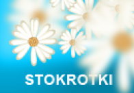 stokrotki